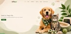 design a professional shopify store