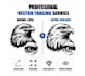 do manual vector tracing, logo vector redraw and recreate vector file