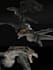model 3d animals,creatures,dinosaurs, dragons, t rex for printing,game,animation