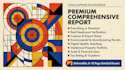 chinese company background report