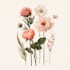 do a botanical illustration