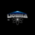 professional logo design services