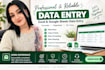 do data entry, excel spreadsheet virtual assistant