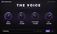 develop custom vst audio plugins