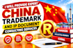 provide expert china trademark and IP document consulting services