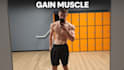 coaching in calisthenics skills and gym