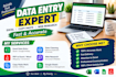 do data entry, excel data cleaning and web research