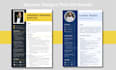 design, rewrite, and optimize your executive CV or resume