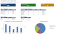 create a professional excel mis dashboard for your business