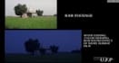 do professional video editing , graphic design , 3d modeling