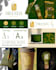 logo design brand identity