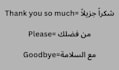 teach you spoken arabic through interactive conversation