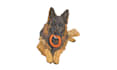 digitize your live pet images into a machine embroidery file