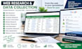 do accurate data entry and web research
