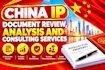 provide professional china IP document review, analysis and consulting services