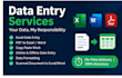 do professional data entry, excel and web search