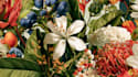 create hand drawn botanical artwork for prints and branding