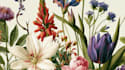 draw custom nature illustrations with beautiful details