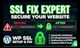 fix wordpress SSL, https and mixed content errors