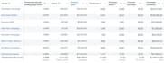 audit your ads, sales funnel and give you a 1 hour consultation