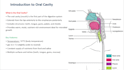 make basic ppt presentation