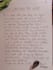 write personalized handwritten notes, letters, messages