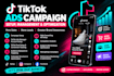 tiktok ads campaign setup, management and optimization