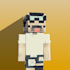 make you high quality minecraft profile pictures in 24 hours