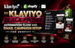 do klaviyo black friday automation flow and email campaign setup for shopify