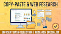 be your professional virtual assistant for data entry and web research