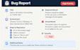 manually test your website and report bugs