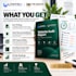 audit your website for SEO, UX and cro opportunities