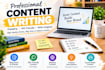 write engaging and SEO friendly articles and blog posts