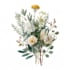 illustrate best botanical illustration