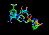 do molecular docking and docking score analysis