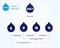 migrate and upgrade drupal from drupal 6,7 to the latest version