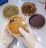 be your online microbiology tutor