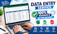 convert data, typing, and data entry services for business