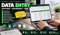 do accurate data entry copy paste web research and excelwork