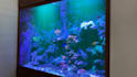 review your aquarium setup and give improvement recommendations