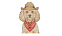 do embroidery digitizing design into dst pes jef file asap