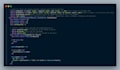 join your fivem server team as a dedicated developer