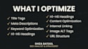 do a professional SEO audit