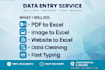 do accurate data entry in excel and google sheets