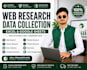 do web research, web search and data collection