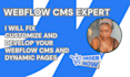 fix webflow website customize and develop your webflow cms and dynamic pages