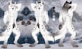 do furry reference sheet furry art character nsfw furry vtuber model ref sheet