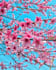 do professional photo editing in lightroom in affordable price