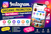 instagram organic promotion and targeted audience growth