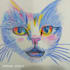 draw realistic pencil sketch